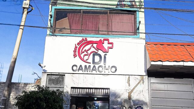 571111076_1365118625404426_6461760305526760843_n