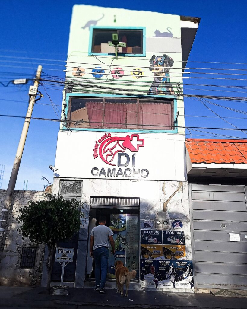 571111076_1365118625404426_6461760305526760843_n