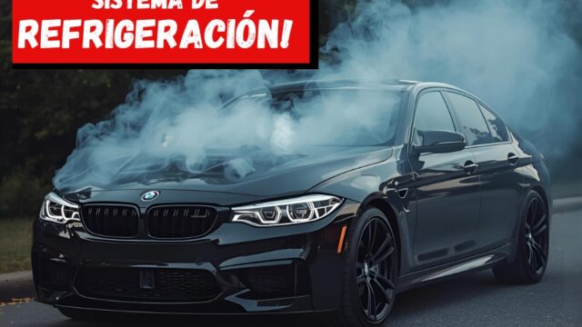 571231936_1238749284943450_7922683378531867023_n