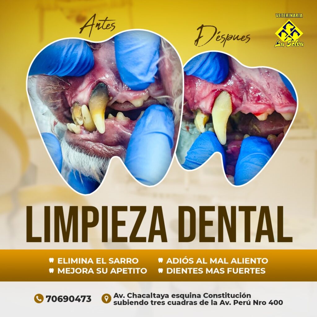 572012308_1389672676497411_39529978405733928_n