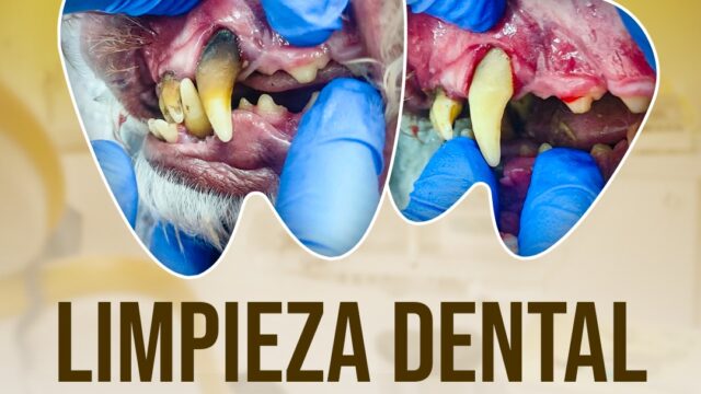 572012308_1389672676497411_39529978405733928_n