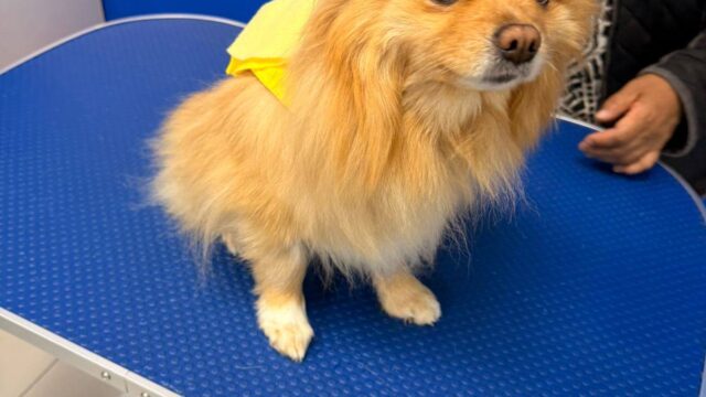 572360626_122145582854875250_6110912012052621588_n