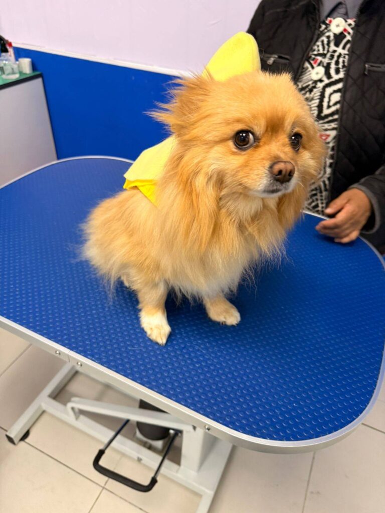 572360626_122145582854875250_6110912012052621588_n