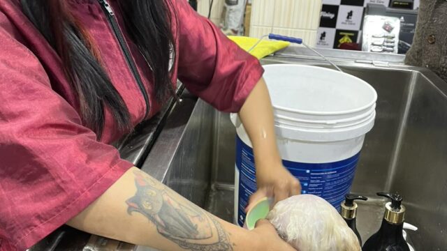 572379800_1388744336590245_2744528478360674263_n