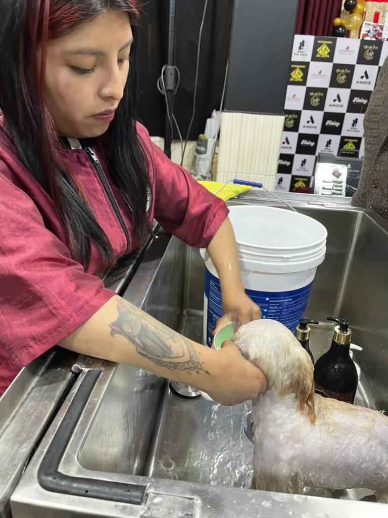 572379800_1388744336590245_2744528478360674263_n