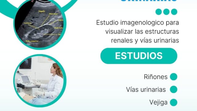 573343207_1281333090678292_9020568640303568542_n