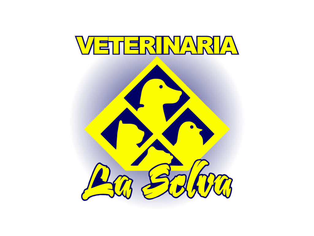 573591401_1340216384562802_1965458887536506314_n