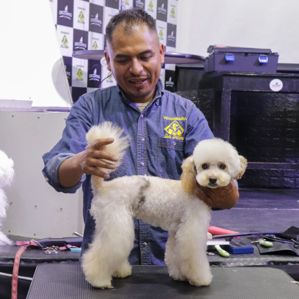 573842033_1389478086516870_5543568947268007006_n