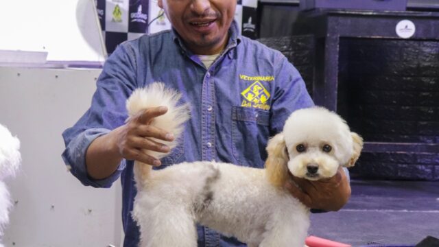 573842033_1389478086516870_5543568947268007006_n