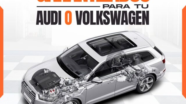 573877354_1557373725991762_6984380104702398255_n