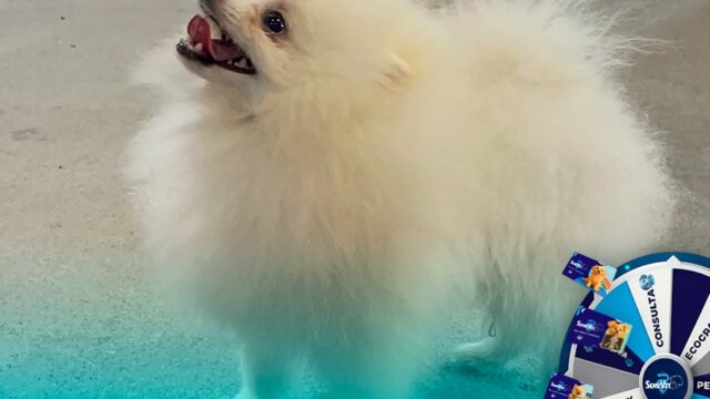 576891319_1332947481571105_6711504333490956924_n