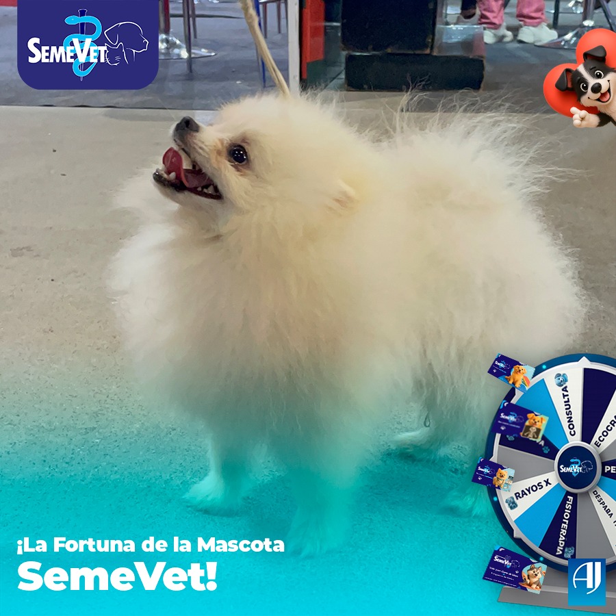 576891319_1332947481571105_6711504333490956924_n