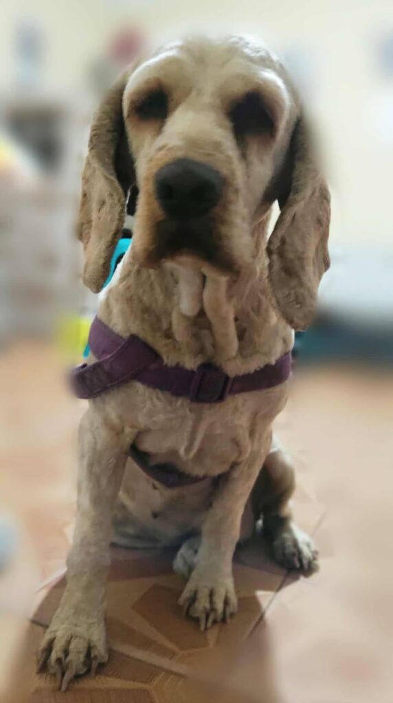 577824118_1253817770113155_3481349468206796782_n