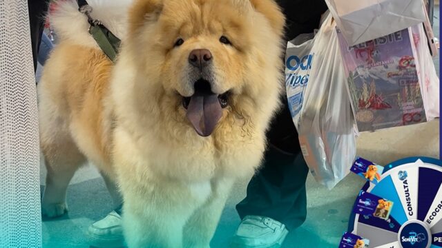 578012825_1334546504744536_7297025395365576462_n