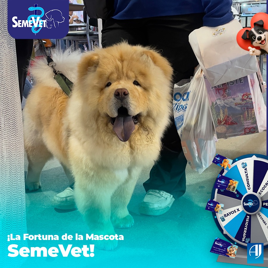 578012825_1334546504744536_7297025395365576462_n