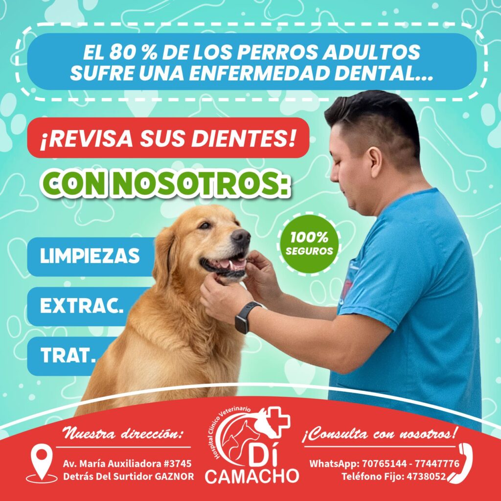 578356802_1379022727347349_3691827032118183308_n