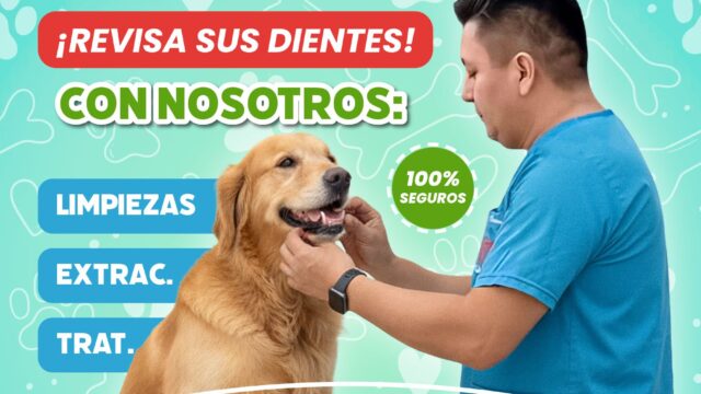 578356802_1379022727347349_3691827032118183308_n