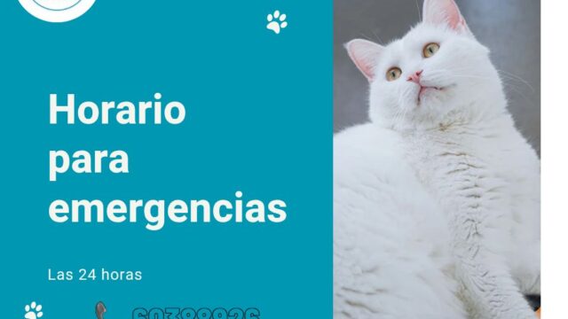 579164253_1436796588453678_132564740356164723_n