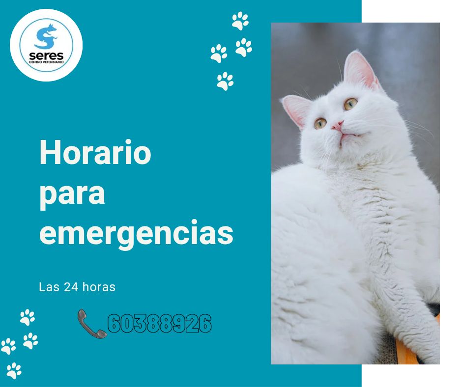 579164253_1436796588453678_132564740356164723_n