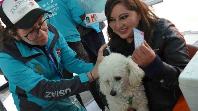 581800790_1256036973224568_4736105805172852164_n