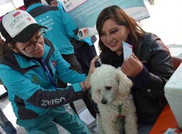 581800790_1256036973224568_4736105805172852164_n