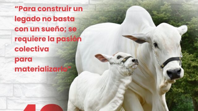 583341112_1253286090162343_8296174466345837633_n