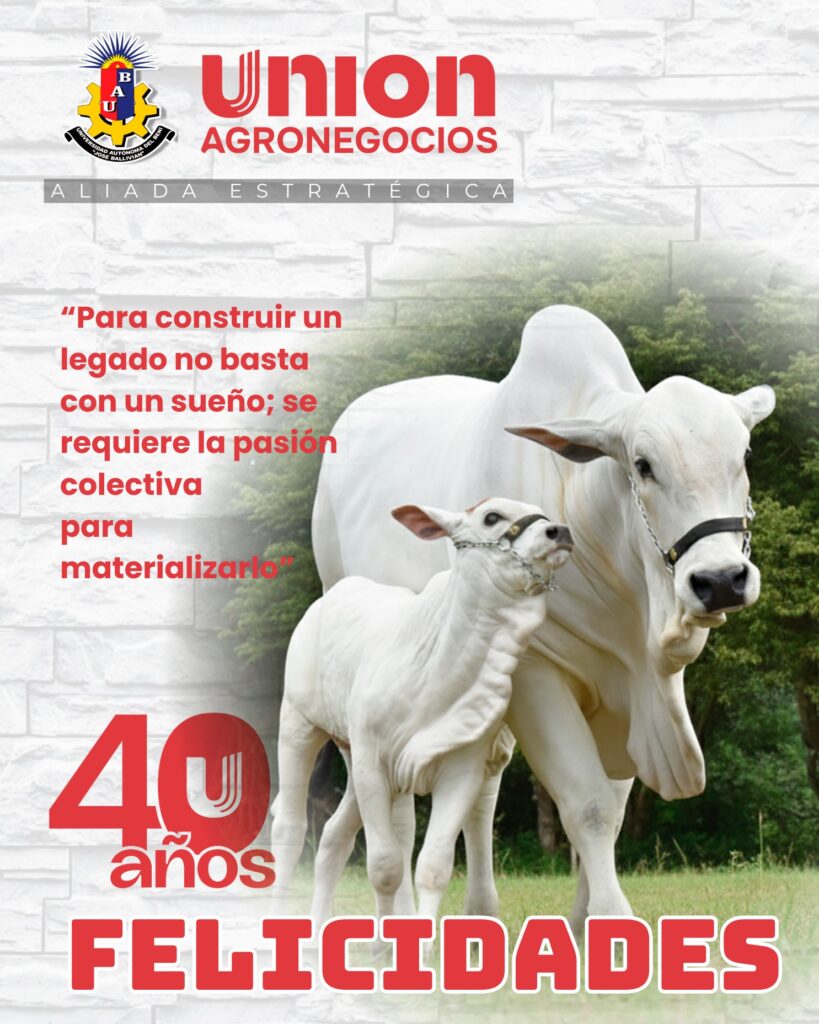 583341112_1253286090162343_8296174466345837633_n