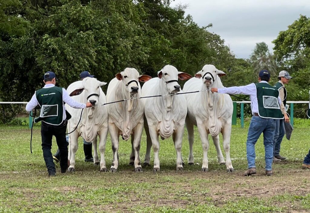 583758973_1281133337375597_8309006717724102318_n