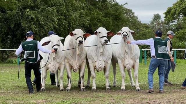 583758973_1281133337375597_8309006717724102318_n