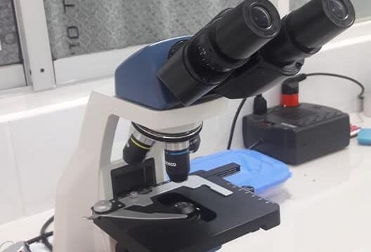 78293116_102700297893238_2158233435745812480_n