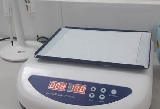 78450878_102700354559899_6748462798289764352_n