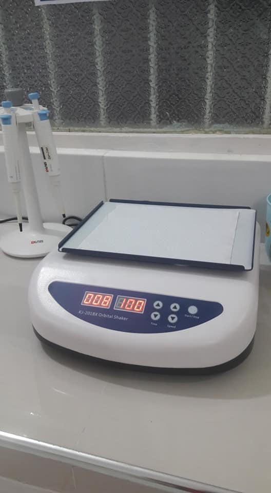 78450878_102700354559899_6748462798289764352_n