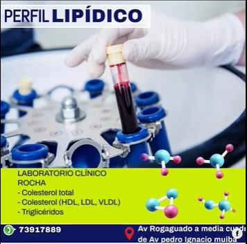 Captura de pantalla 2025-11-17 091941