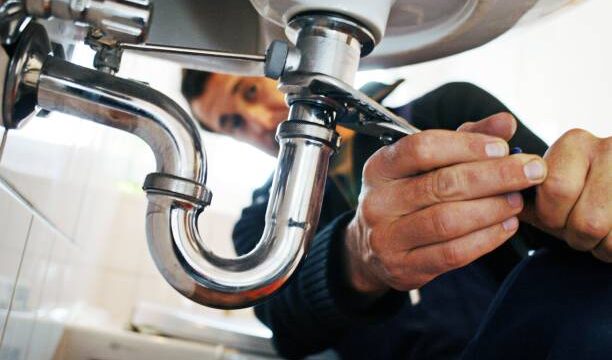 istockphoto-1440019701-612x612