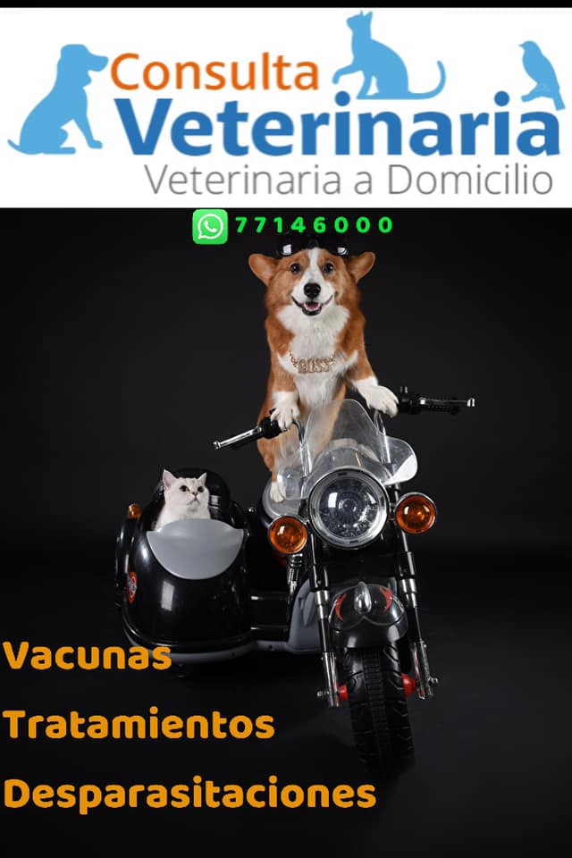 100087809_243191963779873_4467702977905295360_n