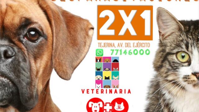 104334067_259945382104531_5012736736183127248_n