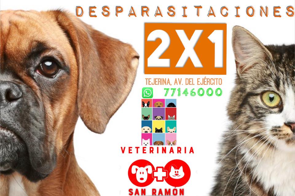 104334067_259945382104531_5012736736183127248_n