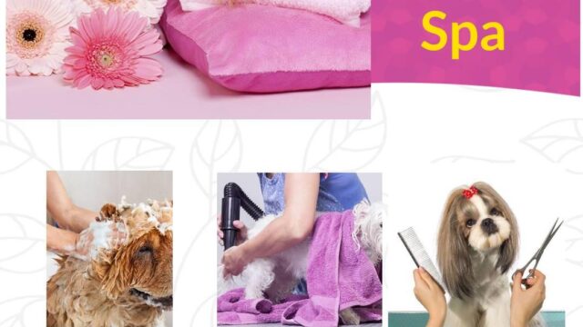 117164599_189219915890609_2618415845633882911_n