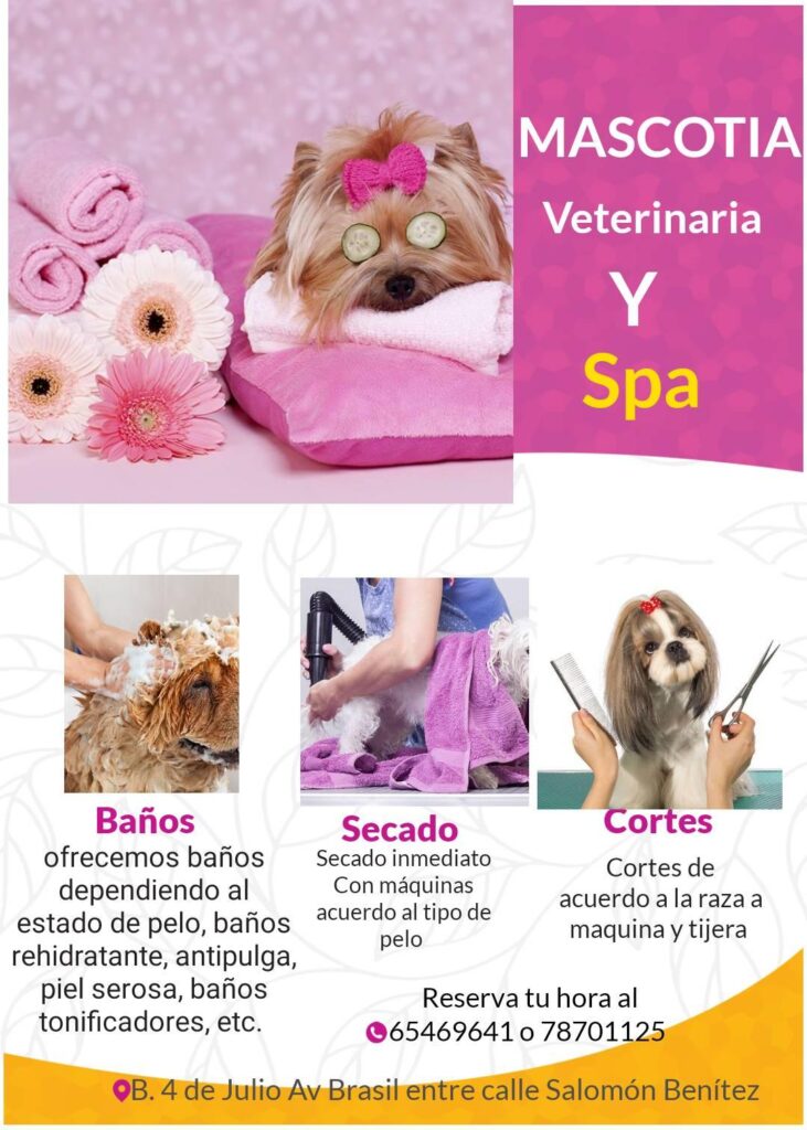 117164599_189219915890609_2618415845633882911_n