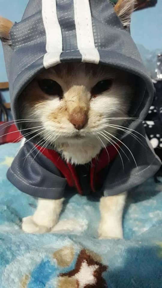 118204846_1754313811413467_648341796300244135_n