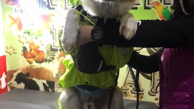 118423857_1764538557057659_9162569756009347859_n