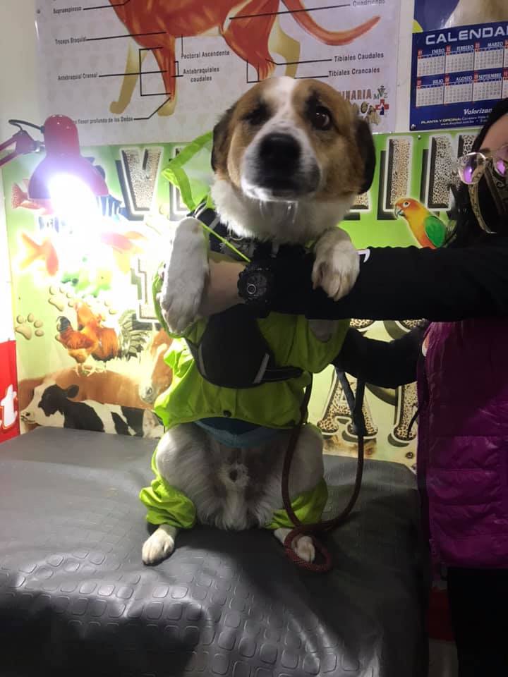 118423857_1764538557057659_9162569756009347859_n