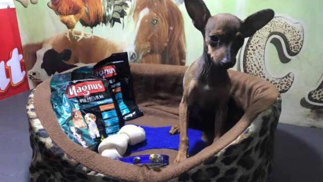 118456102_1764646283713553_5712282685892660565_n