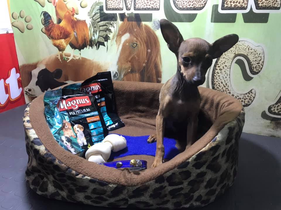 118456102_1764646283713553_5712282685892660565_n