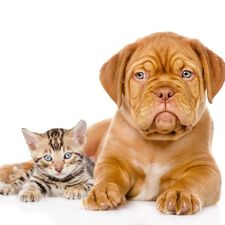 128785310_1004686450018959_3335389421371010033_n