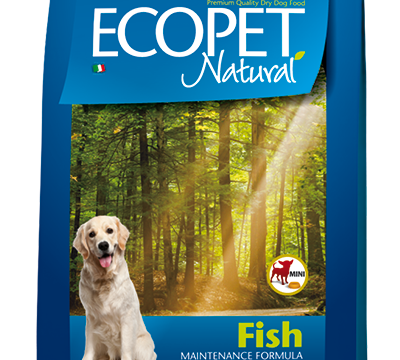 131615628_1019257478561856_8616490175598879974_n