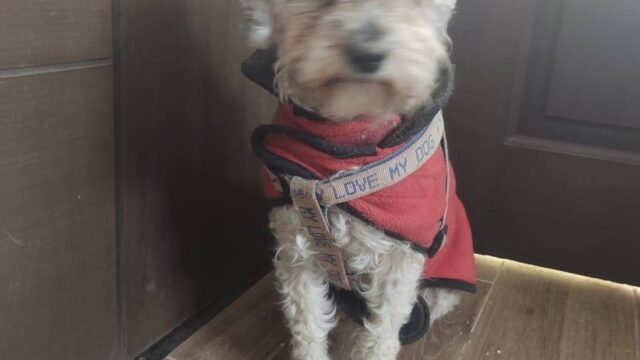 147409199_1916740978504082_2967159543600092856_n