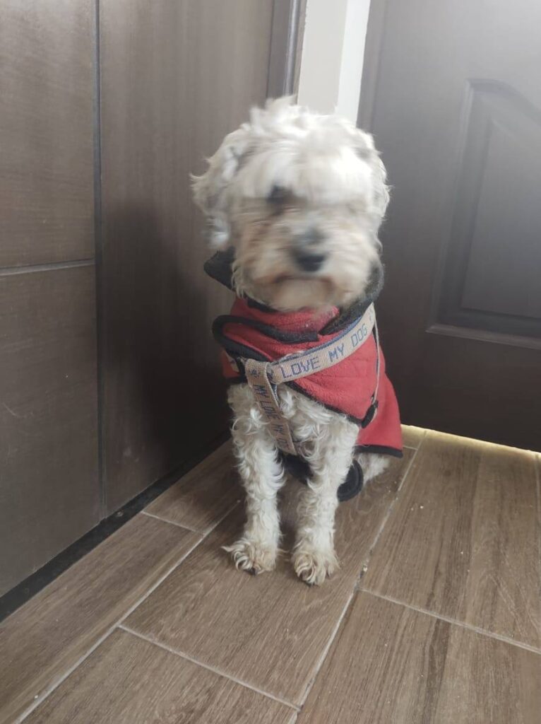 147409199_1916740978504082_2967159543600092856_n