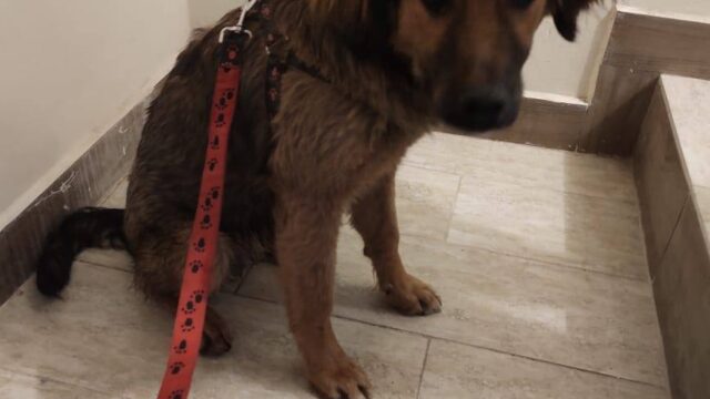 149011918_1916741091837404_1088418794855077501_n