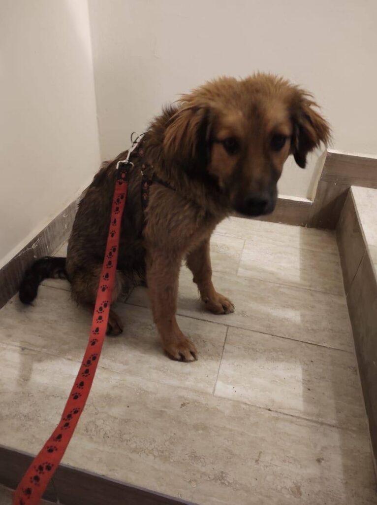 149011918_1916741091837404_1088418794855077501_n